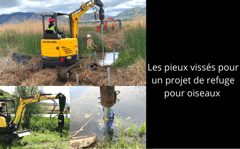 Projet de pieux vissés pour passerelle pour un refuge d'oiseaux