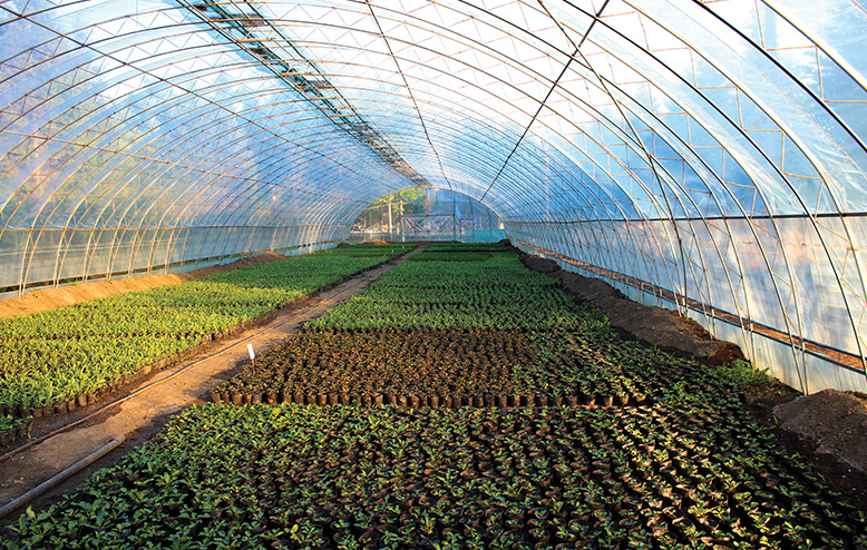 agricultural tent on helical piles