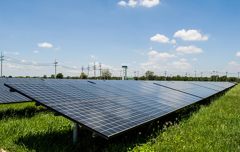 panneaux solaires sur pieux vissés dans un champ