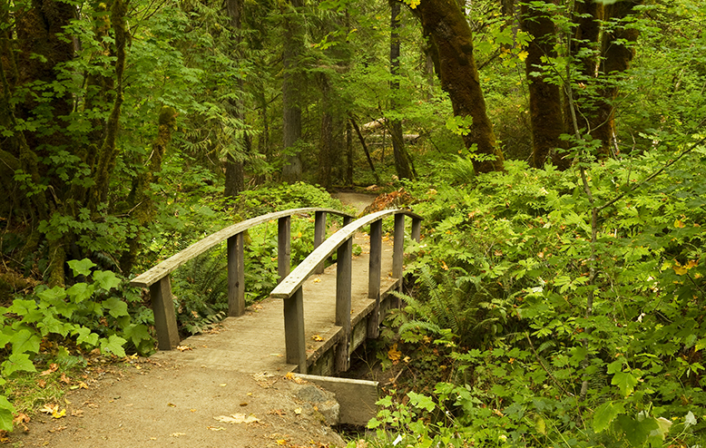 pont sur pieux sentier pédestre